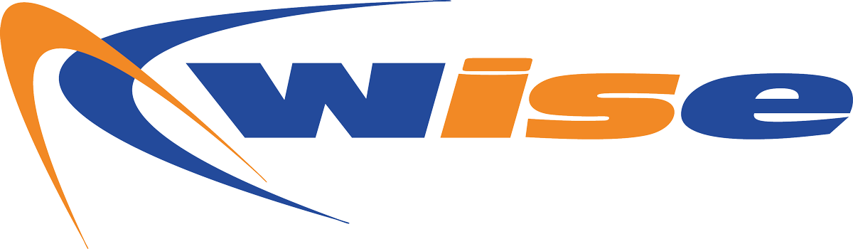 logo wise 2020